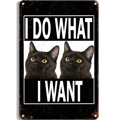 Metal Signs Black Cat Vintage  - Home Office Kitchen recensie en prijs
